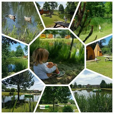 Glamping Heidekamp Camping